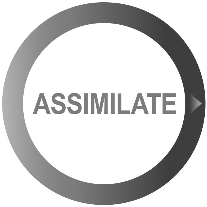 Assimilate Scratch